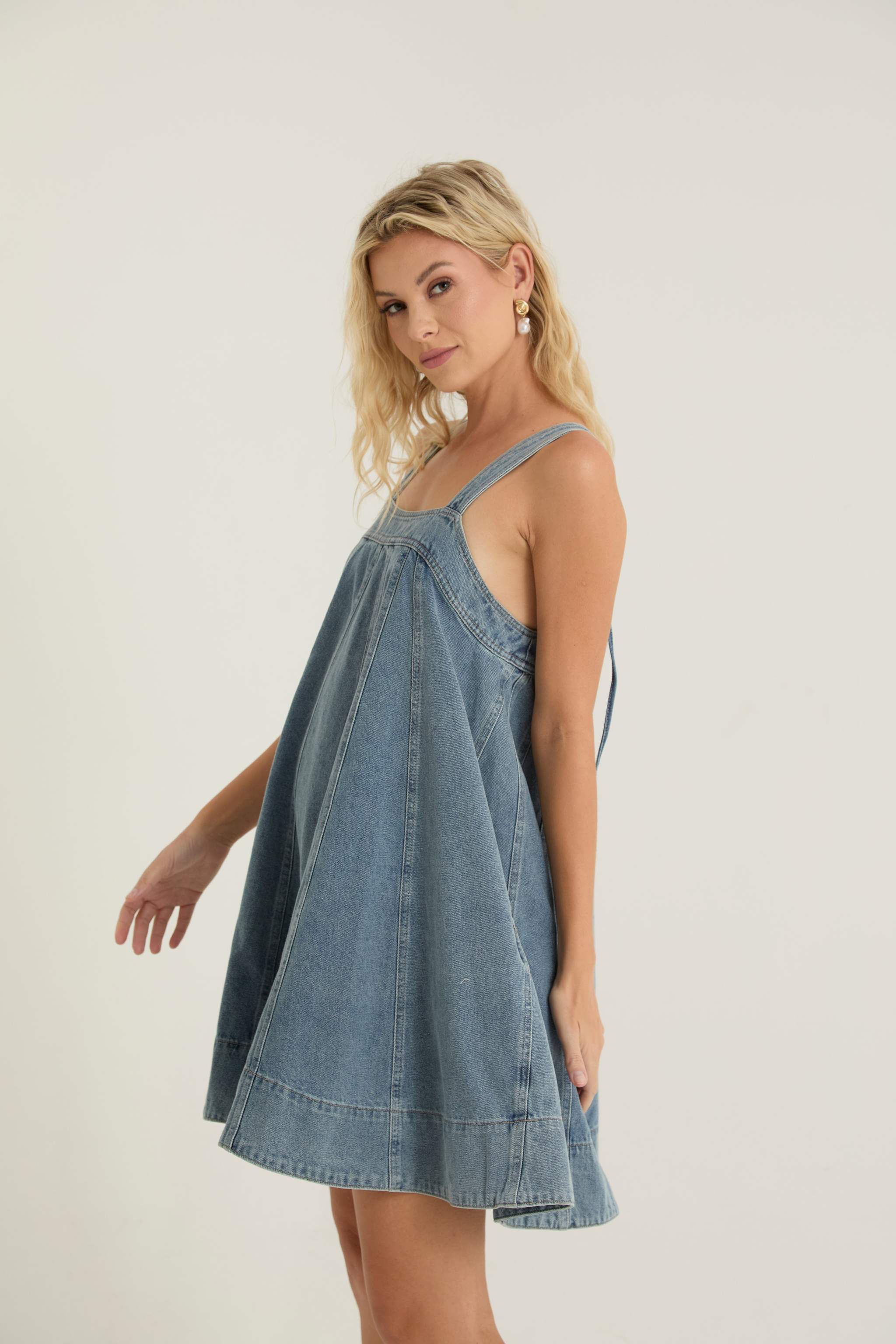 Maxwell Denim Dress