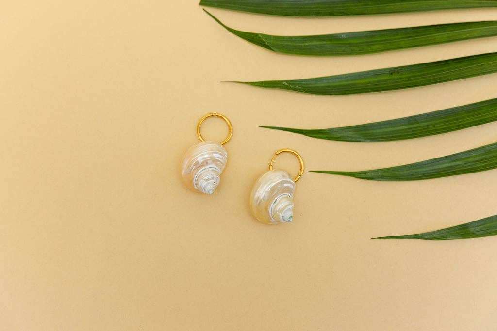 Shell Earrings