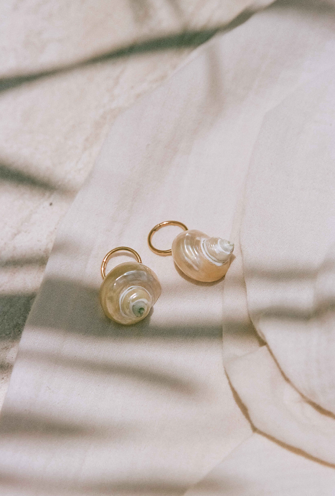 Shell Earrings