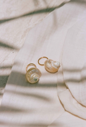 Shell Earrings