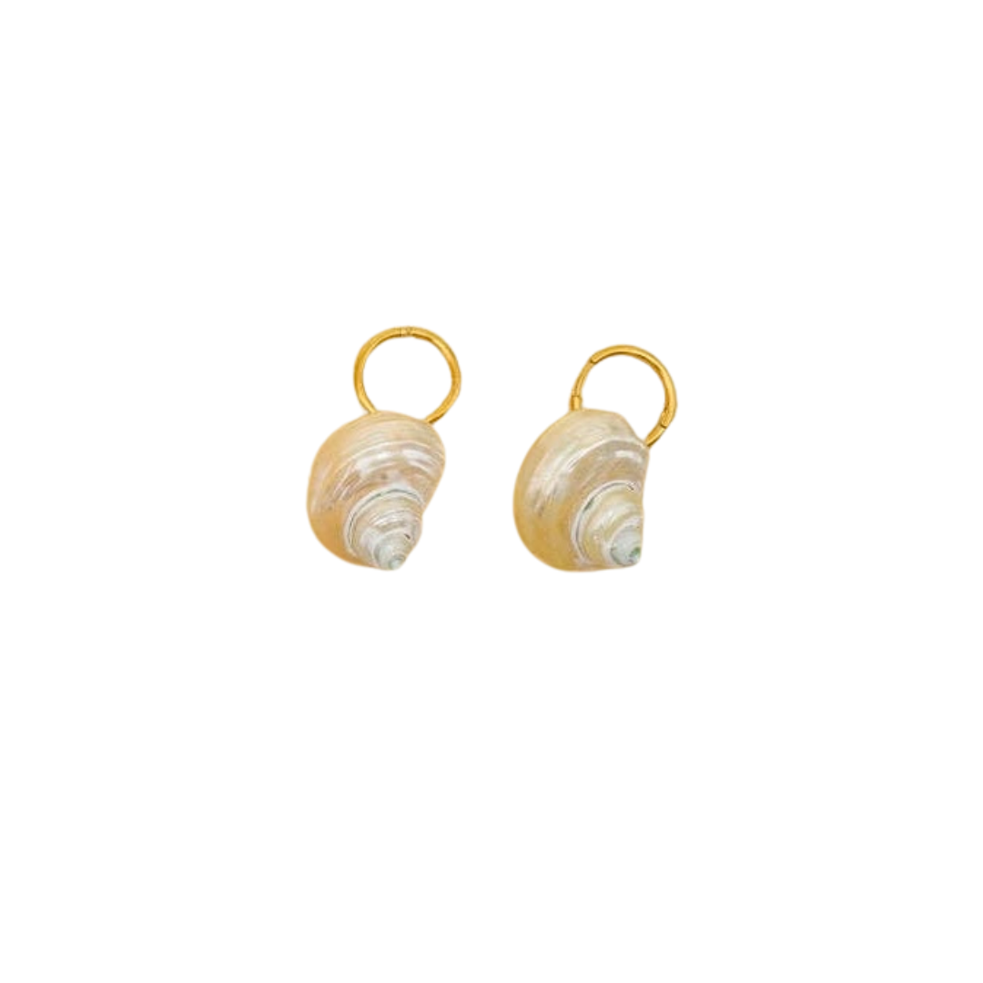 Shell Earrings