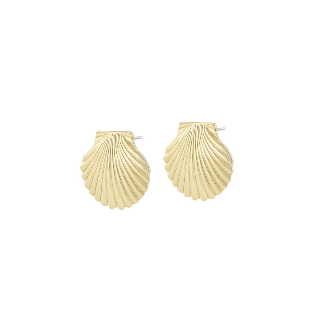 Seashell Earrings